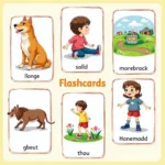 Bộ Flashcard Tiếng Anh