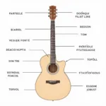 Cấu tạo chi tiết của đàn guitar