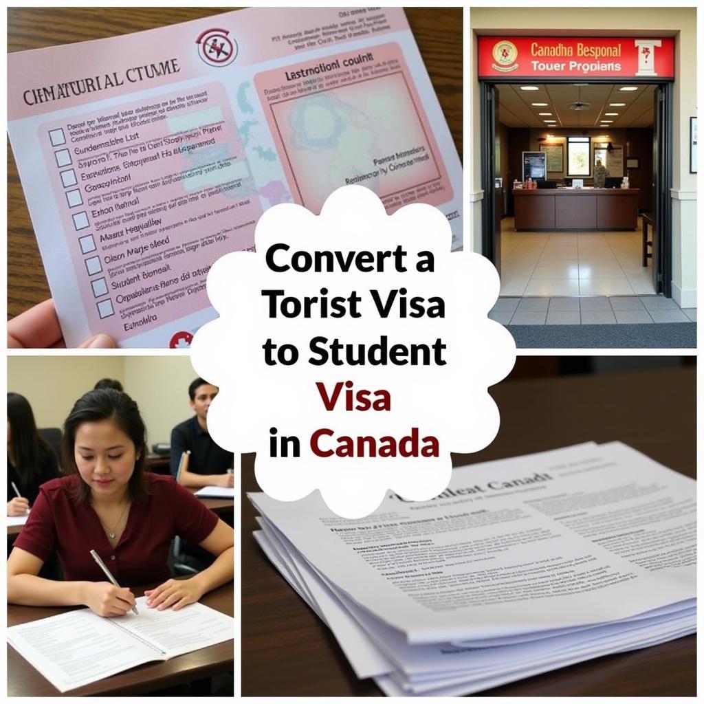 Chuyển Đổi Visa Du Lịch Sang Visa Du Học Canada