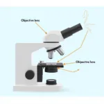 Optical System of a Microscope