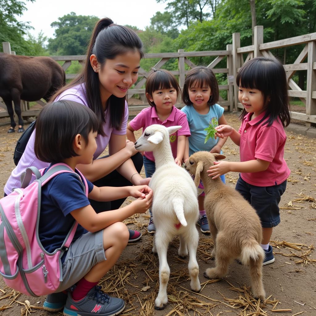 Hoạt động ngoại khóa học tiếng việt về con vật