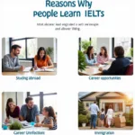 Lý do nên học IELTS