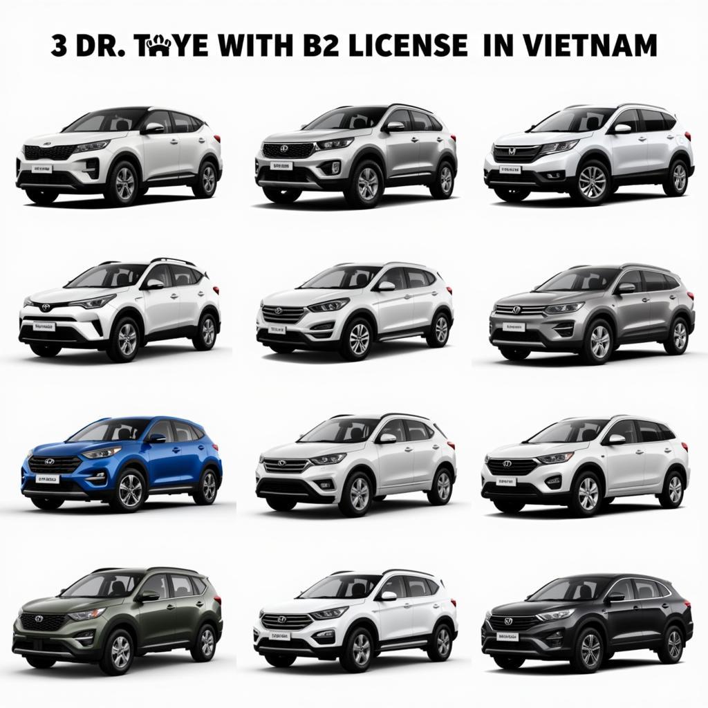 Các Loại Xe Bằng Lái B2