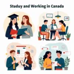 Benefits of studying and working in Canada