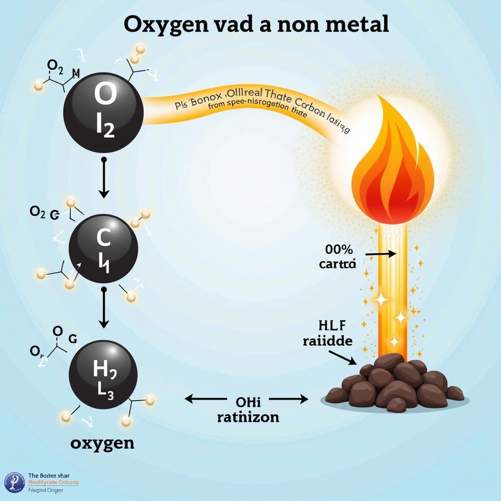 Oxi tác dụng với phi kim