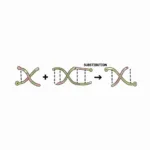 Đột biến gen thay thế cặp nucleotide