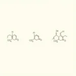 Đường đơn: Glucose, Fructose và Galactose