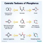 Phản ứng Hóa học của Photpho