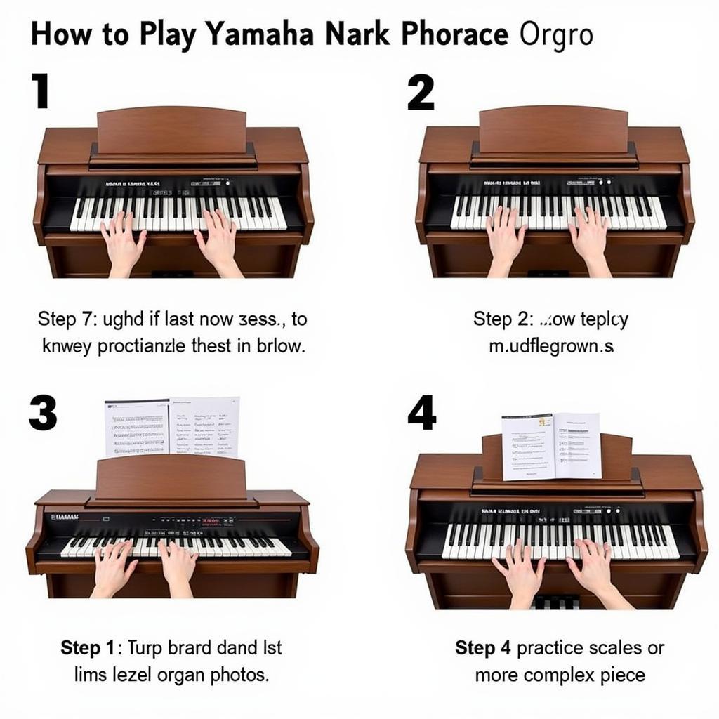 Các bước học đàn organ Yamaha