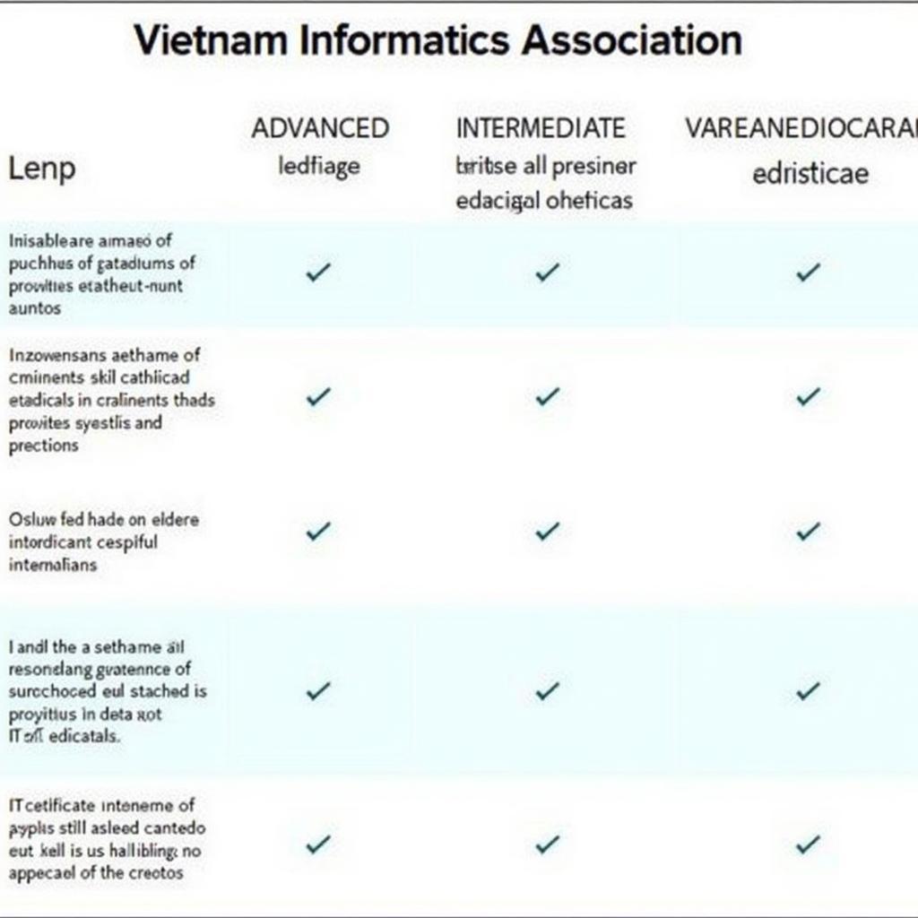 Types of Vietnam Informatics Association IT Certificates