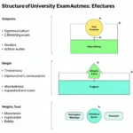 Cấu Trúc Đề Thi Đại Học