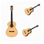 Học guitar đệm hát cơ bản