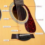 Cấu tạo chi tiết của đàn guitar