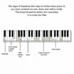 Làm quen với bàn phím piano